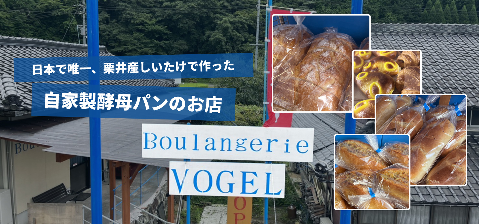 日本で唯一、栗井産しいたけで作った自家製酵母パンのお店